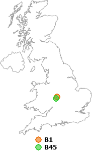 map showing distance between B1 and B45