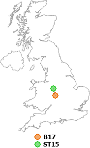 map showing distance between B17 and ST15