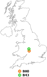 map showing distance between B80 and B43