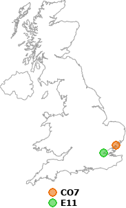 map showing distance between CO7 and E11