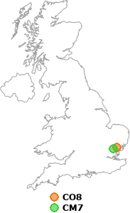 map showing distance between CO8 and CM7