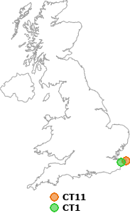 map showing distance between CT11 and CT1