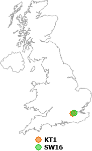 map showing distance between KT1 and SW16