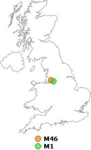 map showing distance between M46 and M1