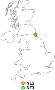 map showing distance between NE1 and NE3