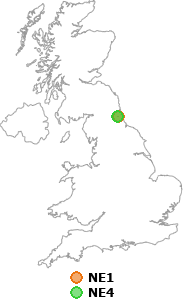 map showing distance between NE1 and NE4