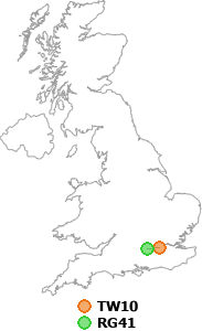 map showing distance between TW10 and RG41